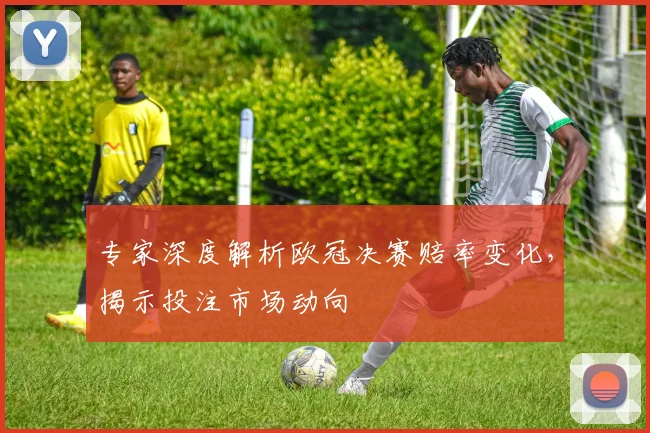 专家深度解析欧冠决赛赔率变化，揭示投注市场动向